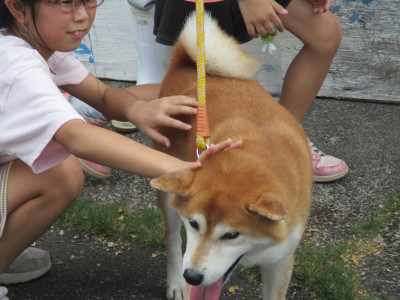 田農ふみ